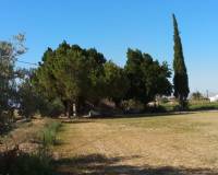 Resale - Finca - Callosa De Segura