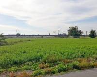 Resale - Finca - Callosa De Segura