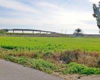 Resale - Finca - Callosa De Segura