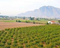 Resale - Finca - Callosa De Segura