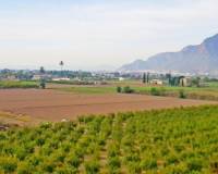 Resale - Finca - Callosa De Segura