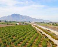 Resale - Finca - Callosa De Segura