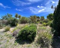 Resale - Finca Country Property - Cartagena