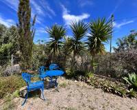 Resale - Finca Country Property - Cartagena