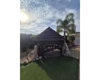 Resale - Finca -  - Daya Vieja