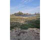 Resale - Finca -  - Daya Vieja