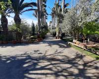 Resale - Finca - Orihuela