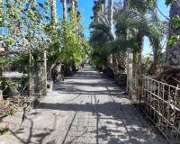 Resale - Finca - Orihuela