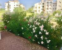 Resale -  - Hacienda riquelme