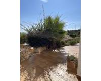 Resale - House - Calpe - optional location detail