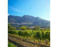 Resale -  - Jumilla