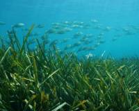 Resale - Квартира - Benissa