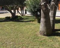 Resale - Квартира - Ciudad Quesada