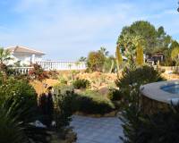 Resale - Квартира - Ciudad Quesada