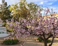 Resale - Квартира - Los Urrutias