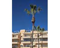 Resale - Квартира - Orihuela Costa - Los Dolses