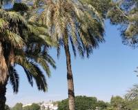 Resale - Квартира - Orihuela Costa