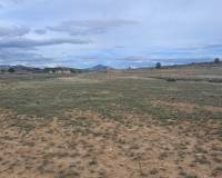 Resale - Land - Jumilla