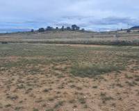 Resale - Land - Jumilla