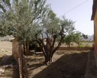 Resale -  - Orihuela