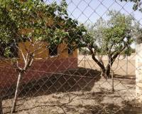 Resale -  - Orihuela