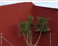 Resale -  - Orihuela