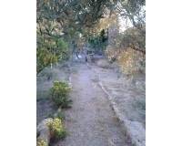Resale -  - Orihuela