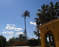 Resale -  - Orihuela