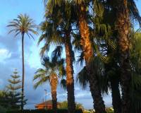 Resale -  - Orihuela