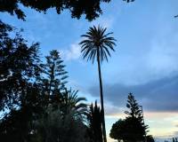 Resale -  - Orihuela
