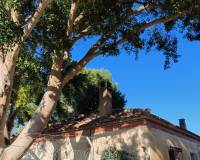 Resale -  - Orihuela