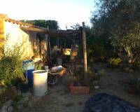 Resale -  - Orihuela