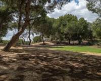 Resale - Penthouse - Orihuela - Las Ramblas