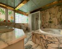 Resale - Penthouse - Torrevieja - optional location detail