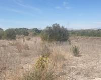 Resale - Terreno - Benferri - HUERTA PUEBLO