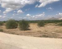 Resale - Terreno - Benferri - HUERTA PUEBLO