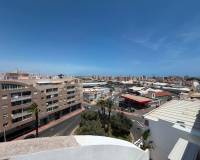 Resale -  - Torrevieja Centro - Torrevieja