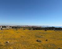 Resale - town_house - Torrevieja - Punta Prima