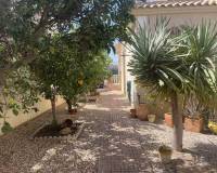 Resale - villa - Algorfa