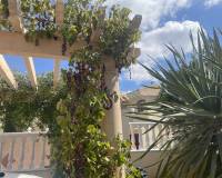 Resale - villa - Algorfa