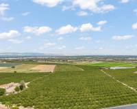 Resale - villa - Algorfa