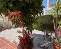 Resale - villa - Algorfa