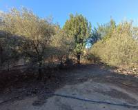 Resale - villa - Avileses