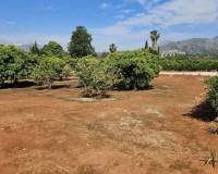 Resale - villa - Beniarbeig