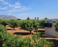 Resale - villa - Beniarbeig