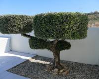 Resale - villa - Benijofar