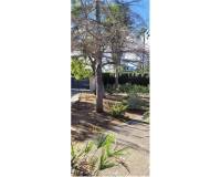 Resale - villa - Bétera