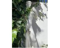 Resale - villa - Calpe