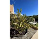 Resale - villa - Coloma