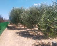 Resale - villa - Elche